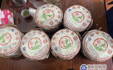 靠一片普洱茶改写人生揭秘茶叶收藏暴利真相