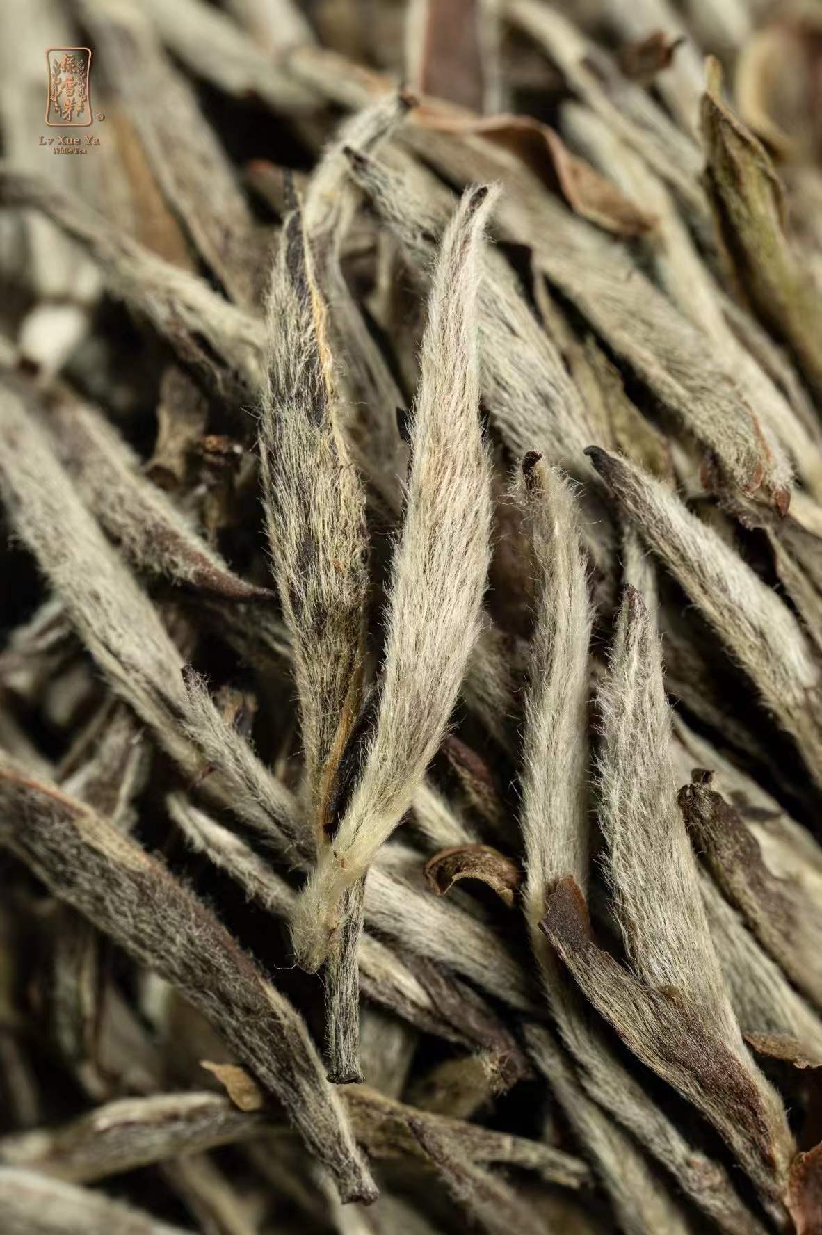 珍藏绿雪芽白茶八年，他在茶叶回收网轻松变现数万元！