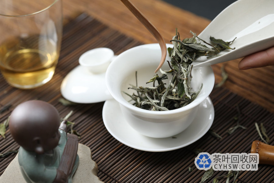 白茶收藏避坑指南：银针和寿眉到底怎么选？
