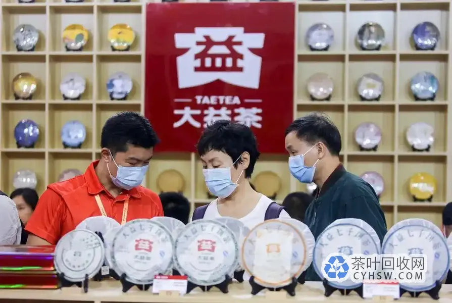 大益老茶怎么挑？看懂这几点少交“智商税”