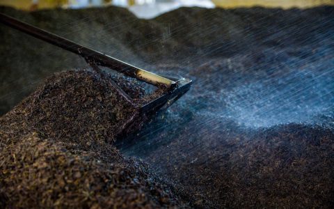 回收普洱茶饼：茶叶回收网，让岁月茶韵焕发新生