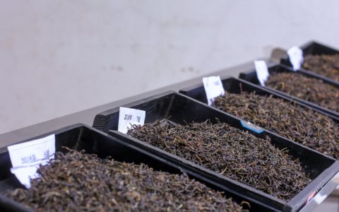 昆明哪里回收普洱茶？专业服务为您解忧