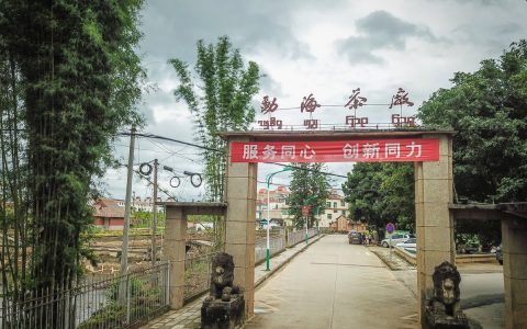 哪里有回收老普洱茶？专业之选解您忧​
