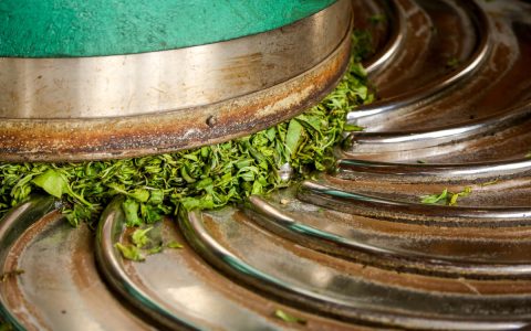 上海回收普洱茶的店：寻一味茶香的归处​