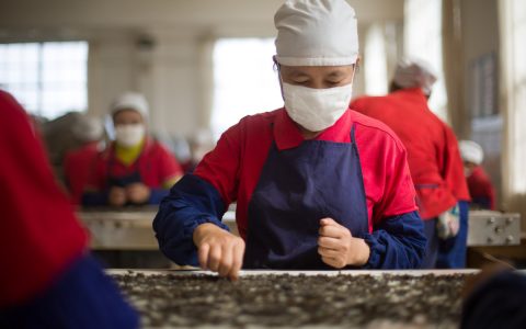 昆明老茶圈炸锅！茶马古道惊现 "鉴茶天团"，这套流程让茶友拍案：终于等到了！