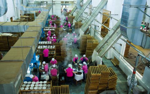 东莞大益茶回收指南：聚焦茶叶回收网