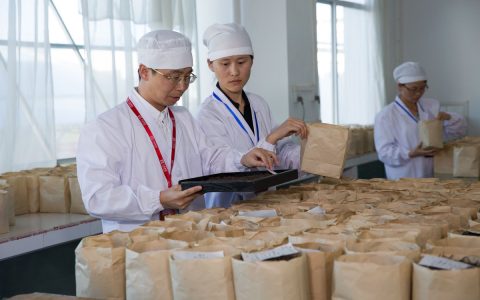 老茶仓储的 5 个关键要点