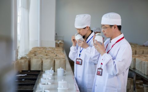 茶叶回收平台哪个好？这份指南助你选对渠道​