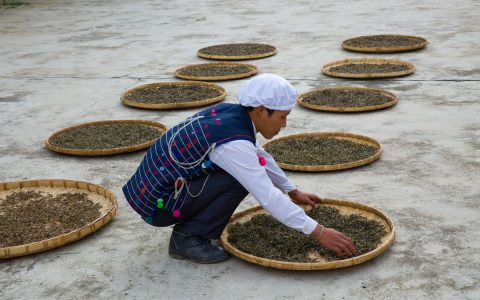 普洱茶回收联系方式：靠谱渠道助你变现无忧