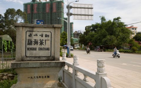 大益老茶变现难？揭秘圈内人私藏的高价回收门道！​