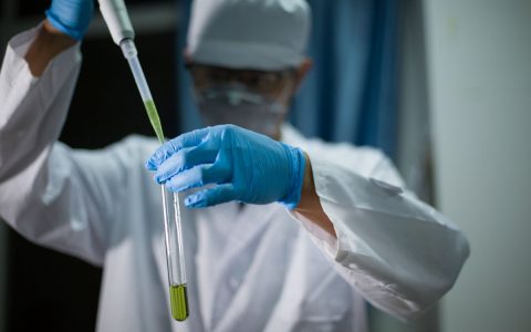 全国上门回收普洱茶指南：专业变现就找"茶叶回收网"