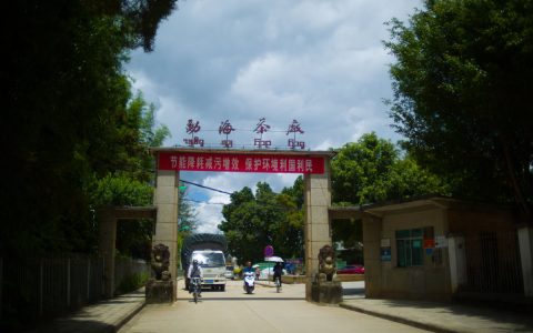 高价回收普洱茶平台全解析：如何实现藏品价值最大化