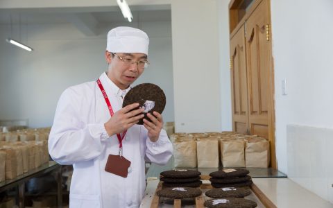 哪里有人回收普洱茶的