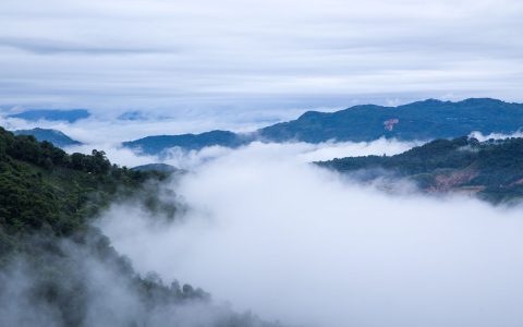 茶叶滞销别慌！亲测这个 24 小时回收平台，让茶友变现快人一步