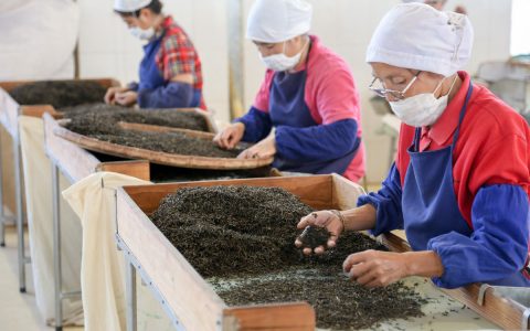 仓储得当的普洱熟茶回收：汤色红浓、口感醇厚的品质鉴别要点