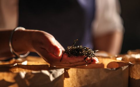 陈年普洱茶回收：如何评估老茶的收藏价值与市场潜力？