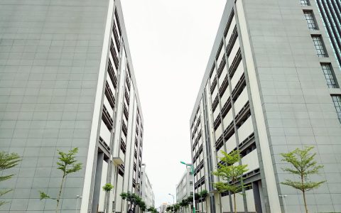 深度解析：为什么普洱茶、黑茶、白茶、六堡茶值得回收？​