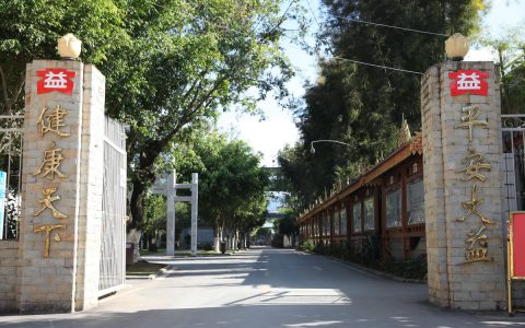 深度剖析大益茶回收：市场、价值与流程全解析