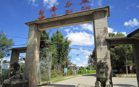 大益茶回收市场中的价值密码