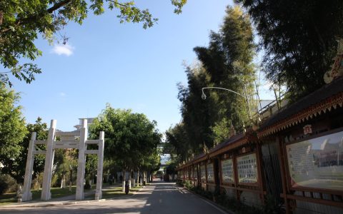 二手普洱茶回收：市场探秘与变现指