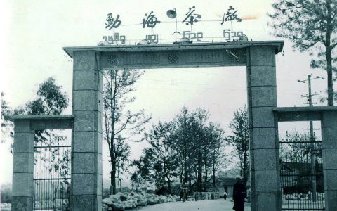 普洱茶饼回收全攻略：让你的茶叶 “变废为宝”​