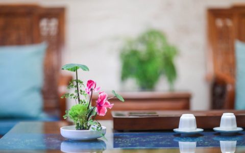 普洱茶回收价格标准全解析，附靠谱回收平台推荐​