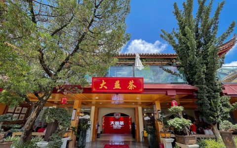 深度剖析大益普洱茶：品牌、产品、产地与工艺的魅力