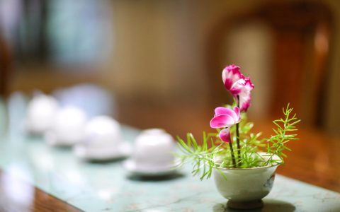 老班章回收价格大揭秘，看完再决定卖不卖！