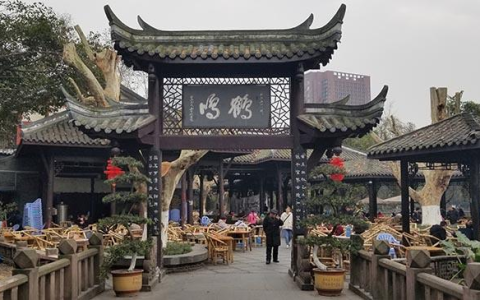 成都回收茶叶：茶叶回收网您的安心首选