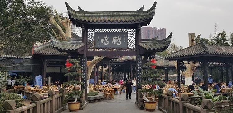 成都回收茶叶：茶叶回收网您的安心首选