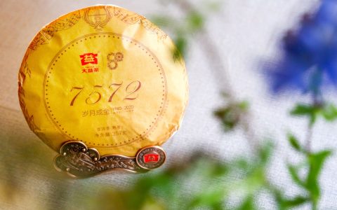 深度揭秘：大益茶 7572 回收价格背后的真相