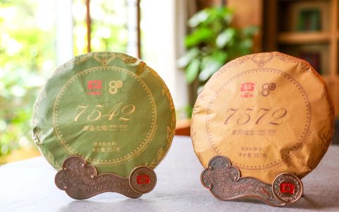 珠海老茶回收那些事儿：藏在茶罐里的财富密码