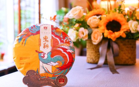 上海哪里回收老茶饼？茶叶回收网为您开启老茶新旅程