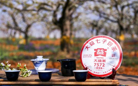 普洱茶回收平台推荐：茶叶回收网，专业可靠的茶叶变现之选