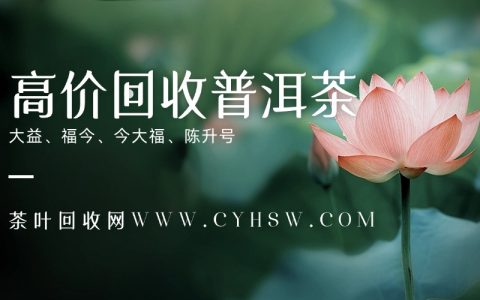 如何通过专业渠道安全高效地回收普洱茶