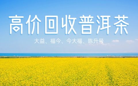 普洱茶回收中的真伪鉴定技巧与经验分享