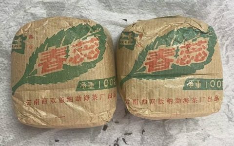 新老普洱对比：鲜爽与陈韵，该怎么选？