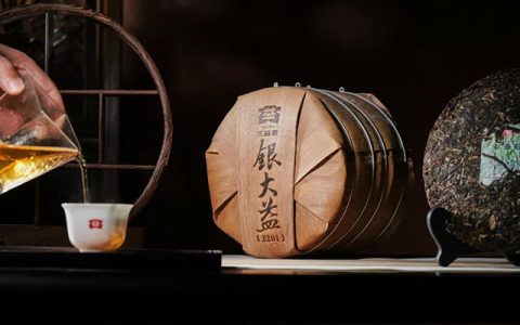 青岛茶友必看!大益茶回收市场全解析,附靠谱平台推荐