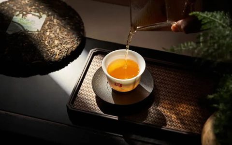 咸阳茶客注意！老茶变现那些事儿，内行人才懂的门道