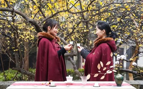 大益茶回收全攻略：4 大平台实测与避坑指南​