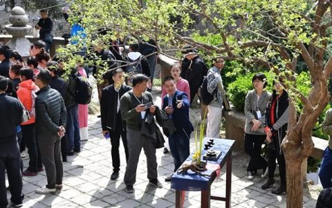 大益茶鉴定回收全攻略：从辨真伪到高变现的实用指南