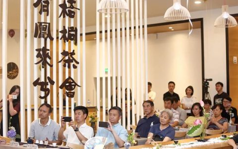 临沂大益茶回收圈揭秘：从藏茶到变现，这些门道你真的懂吗？