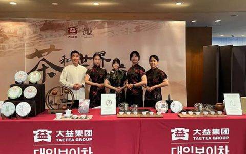 云南大益茶回收全攻略，一文读懂！