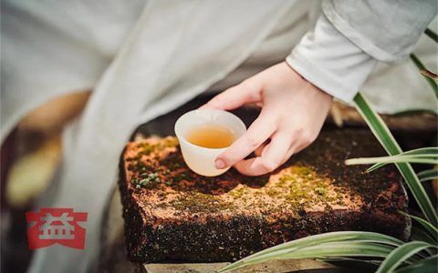 家庭存放普洱茶该注意什么？做好这几点，回收时能多卖 30%​