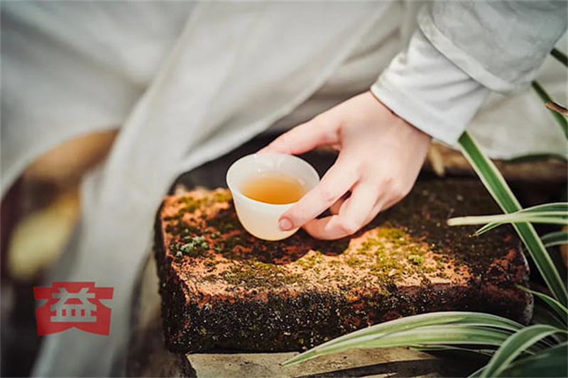 普洱茶回收前必看：如何鉴别茶饼的真伪与保存状态？​