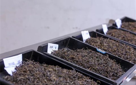 干仓 vs 湿仓普洱茶：回收价差多少？