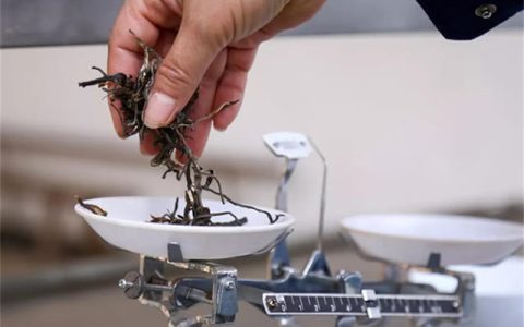 大益茶跨界联名款：回收市场里的文化新势力