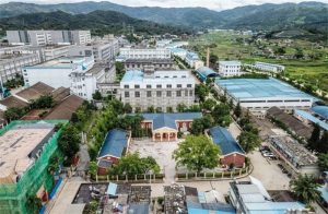 大益普洱茶回收流程全解析：线上线下操作差异与风险规避