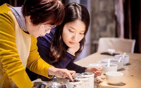 陈年普洱茶回收的健康密码：科学解析陈茶中的药用成分与养生功效