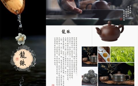 熟茶发酵 50 年：微生物科技如何重塑普洱茶的品质与市场格局